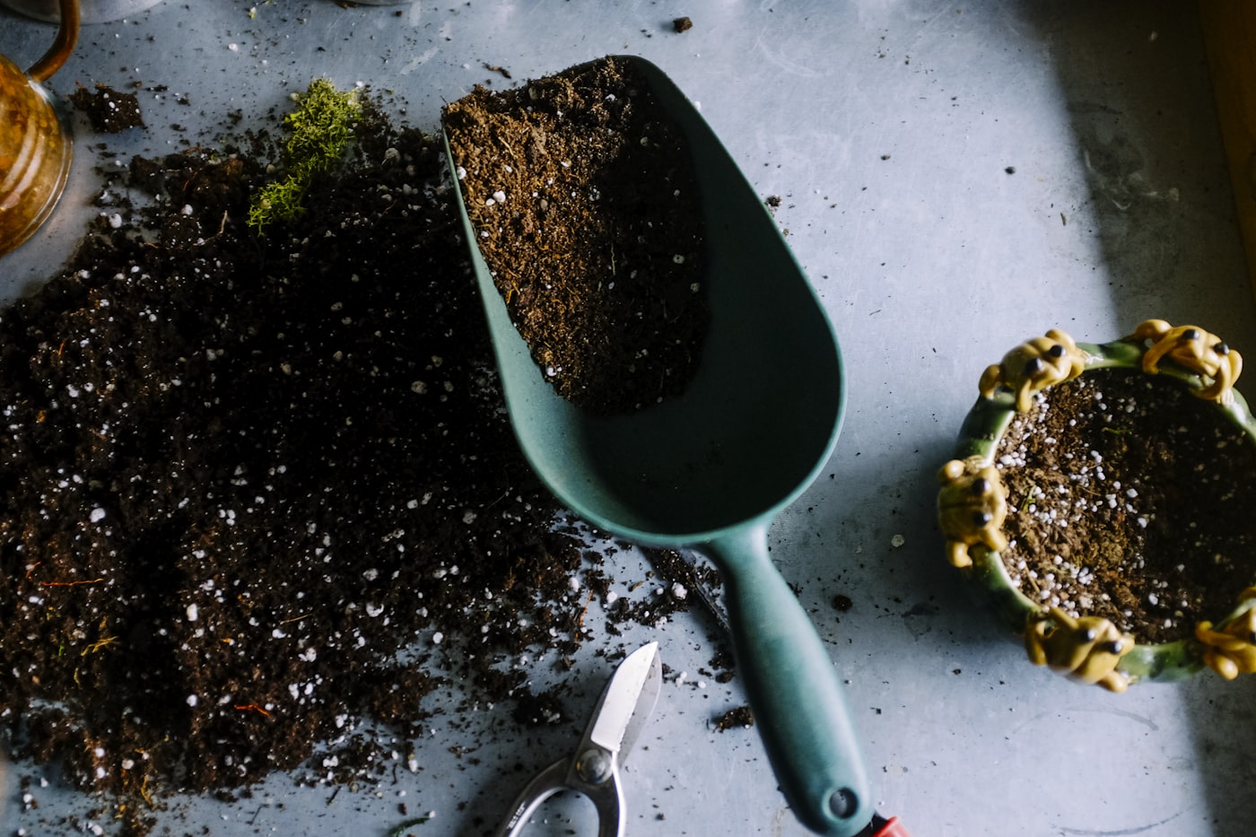 Ambiente de cultivo organizado em espaço externo